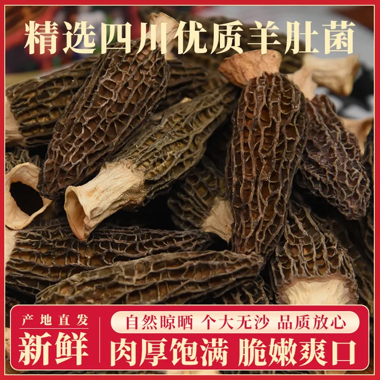 精选新鲜头茬六妹羊肚菌干货肉质肥厚饱满煲汤佳品新鲜优质香味