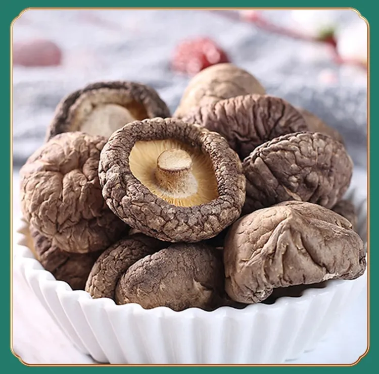 秦岭自然保护的香菇