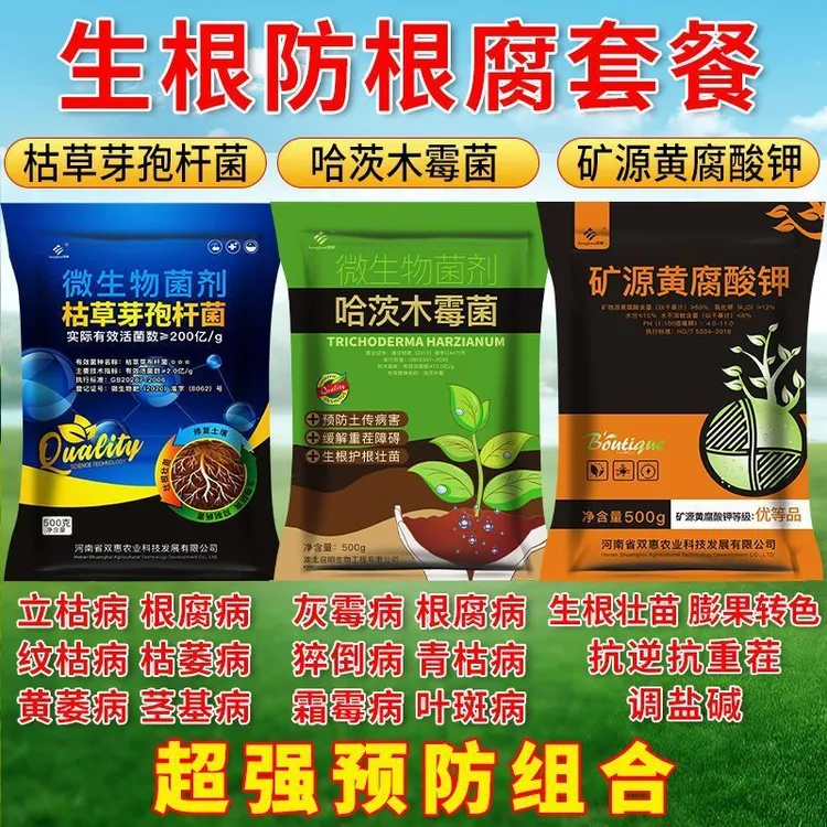 防根腐三件套土传病害枯草芽孢杆菌哈茨木霉菌矿源黄腐酸钾冲施肥