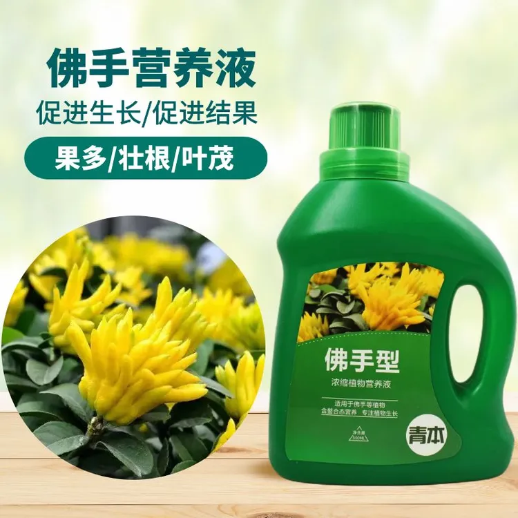 佛手适用营养液室内花卉绿植通用型花肥预防黄叶促生长专用肥料