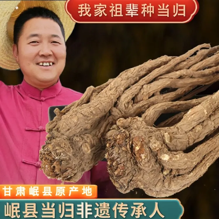 产地直销全当归大条250克4-5支炖汤没有硫磺岷县当归搭配黄芪党参