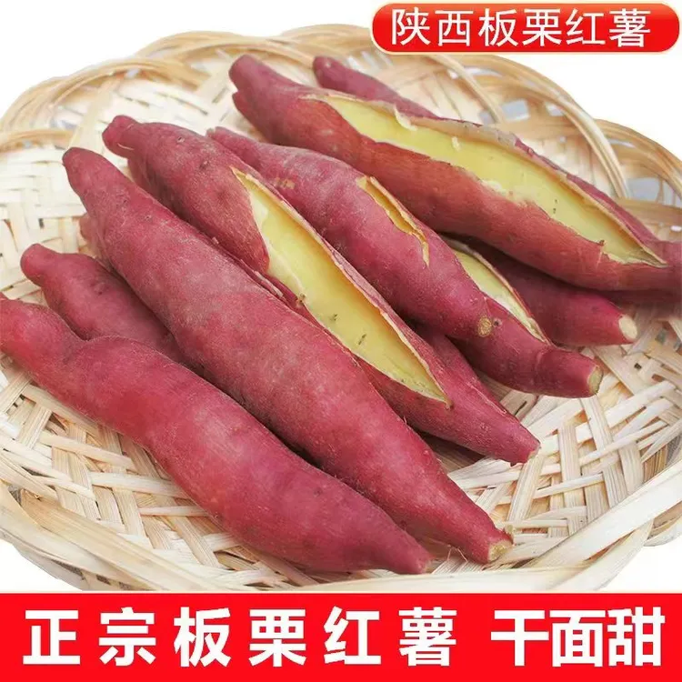 陕西正宗板栗红薯3-5-9斤新鲜现挖粉面干甜小番薯农家地瓜烤红薯