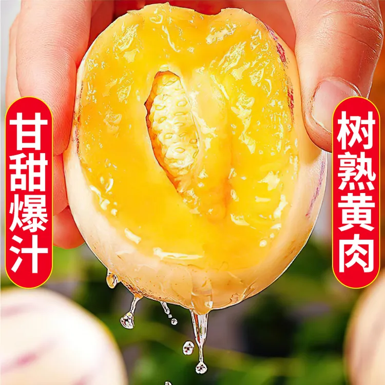 【云南石林人参果】ZT黄肉多汁纯甜无酸新鲜水果