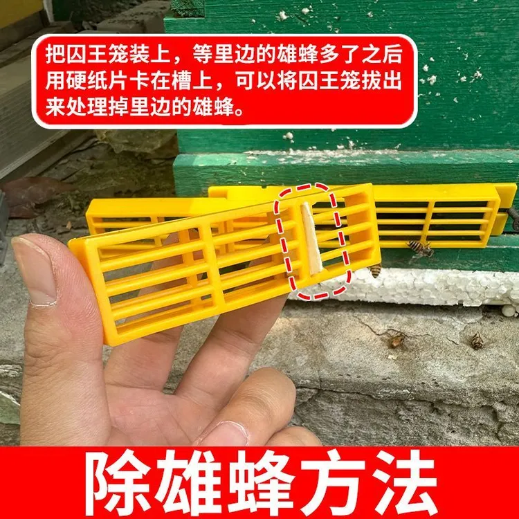 中蜂分蜂收王器防逃框多功能巢门除雄蜂带王笼防逃自动收王控制器