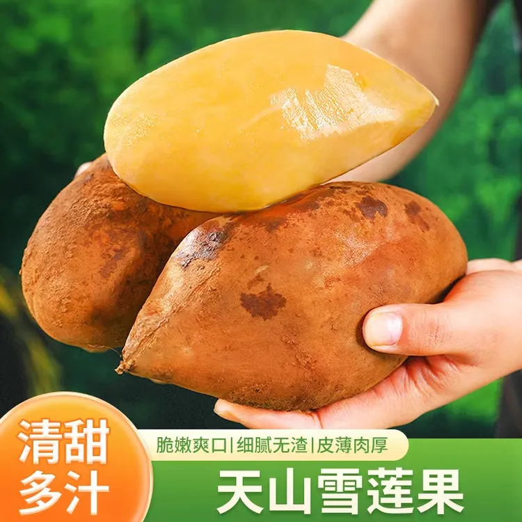 天山雪莲果5斤气泡柱新鲜水果应当季云南孕妇红心雪连果