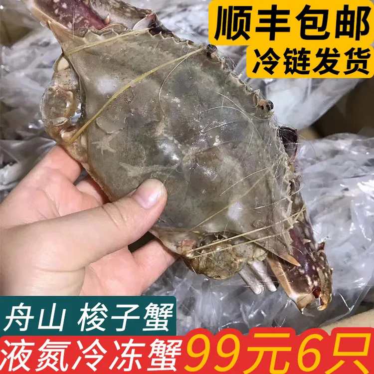 【冻蟹】舟山梭子蟹螃蟹液氮冷冻大白蟹公蟹海蟹飞蟹0.4斤起只4-6两
