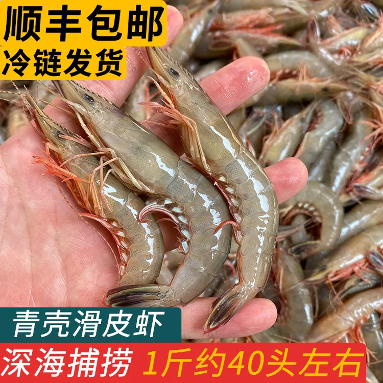 舟山特产青壳滑皮虾鲜活冷冻海捕活皮虾大条海虾海鲜一斤40头左右