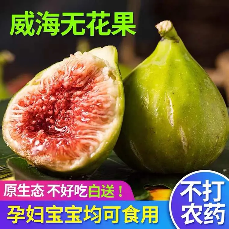 【顺丰空运】威海青皮无花果新鲜树上熟糖包子软糯香甜1-5斤装