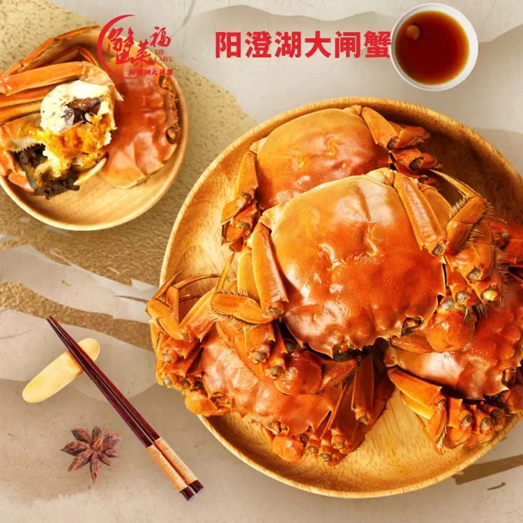 【活蟹现发】蟹莱福阳澄湖大闸蟹塘养4两母蟹8只装