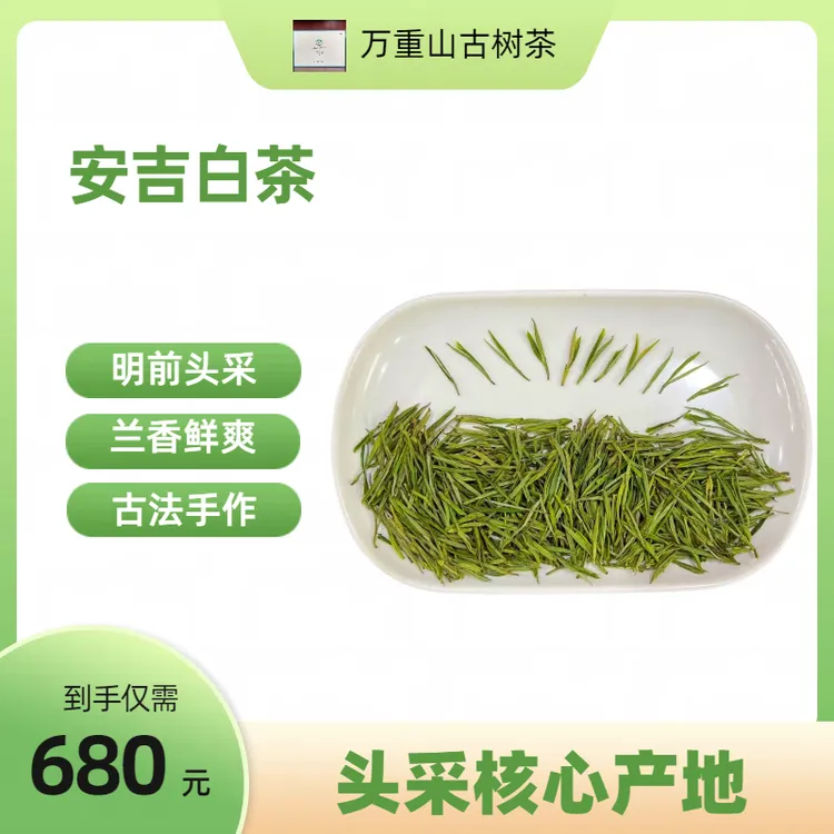 2025年明前白茶鲜香甘醇/唇齿留香/凤尾白茶680/500g