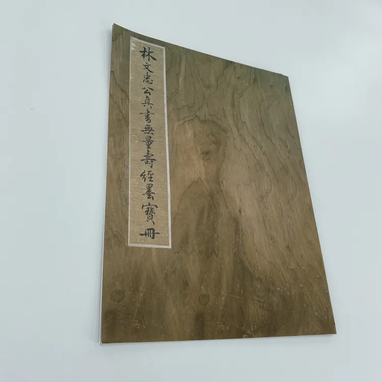 林则徐楷书 林文忠公真书无量寿墨宝册高清复刻艺术装饰字画