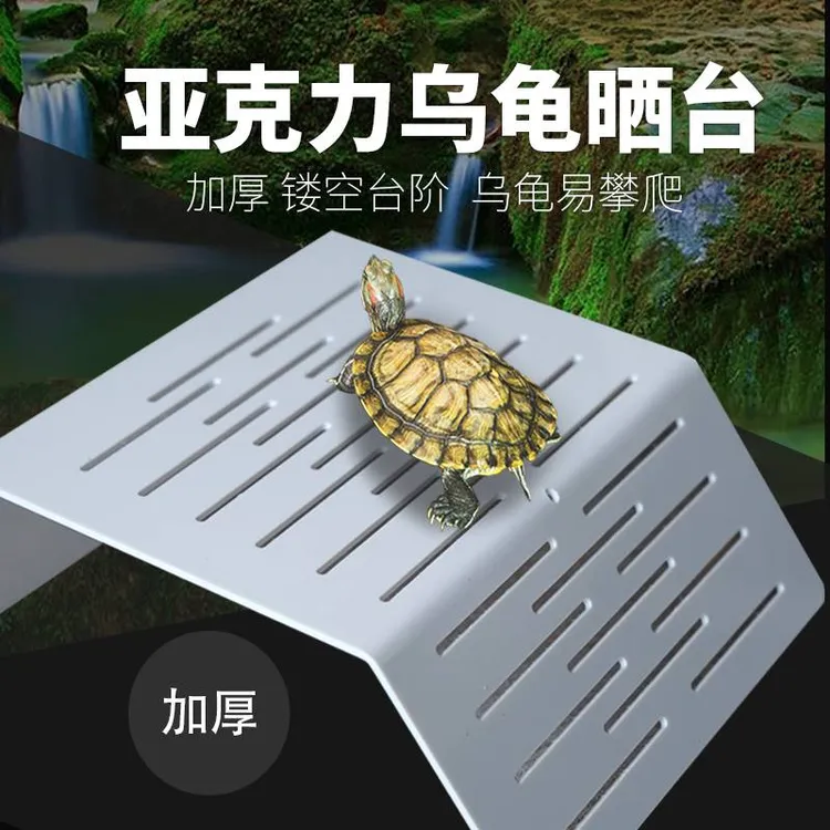 乌龟晒台爬台简约龟缸爬坡亚克力吸盘高水位休息深水浮岛晒背浮台