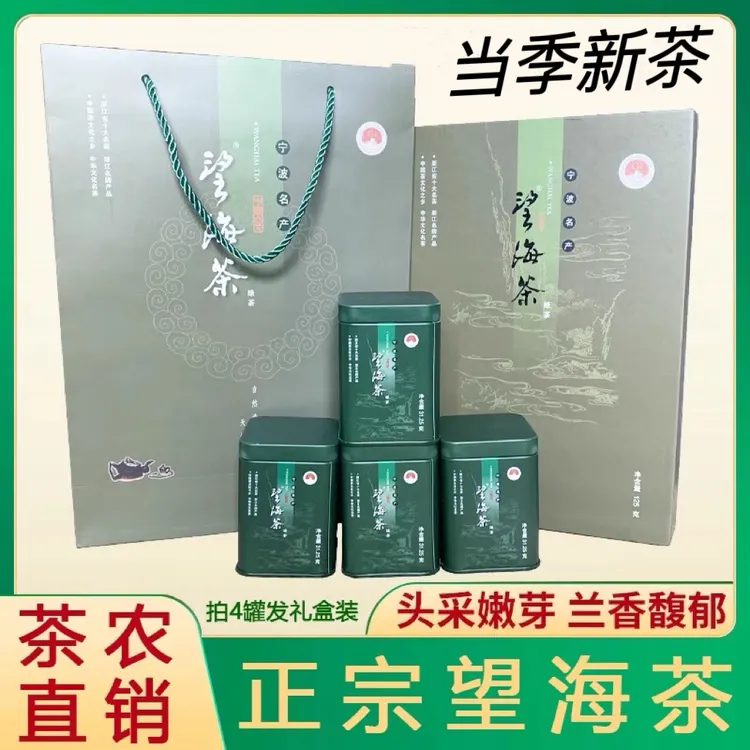 【南面百城】宁海望海茶500克当季新茶礼盒装
