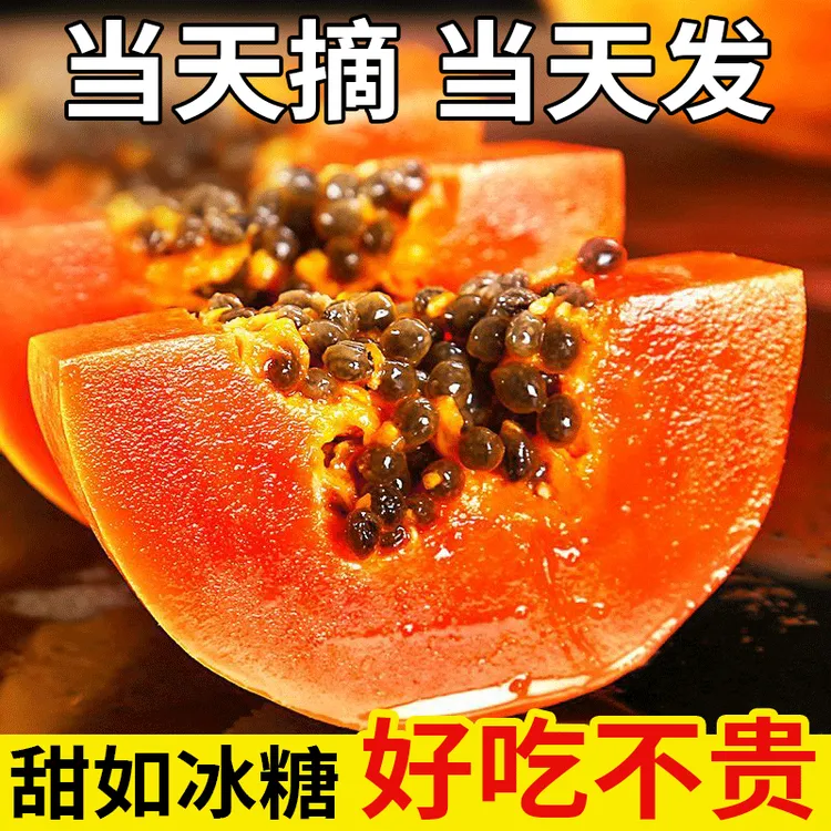 云南红心木瓜细腻饱满口感香甜鲜嫩多汁产地新鲜采摘现发