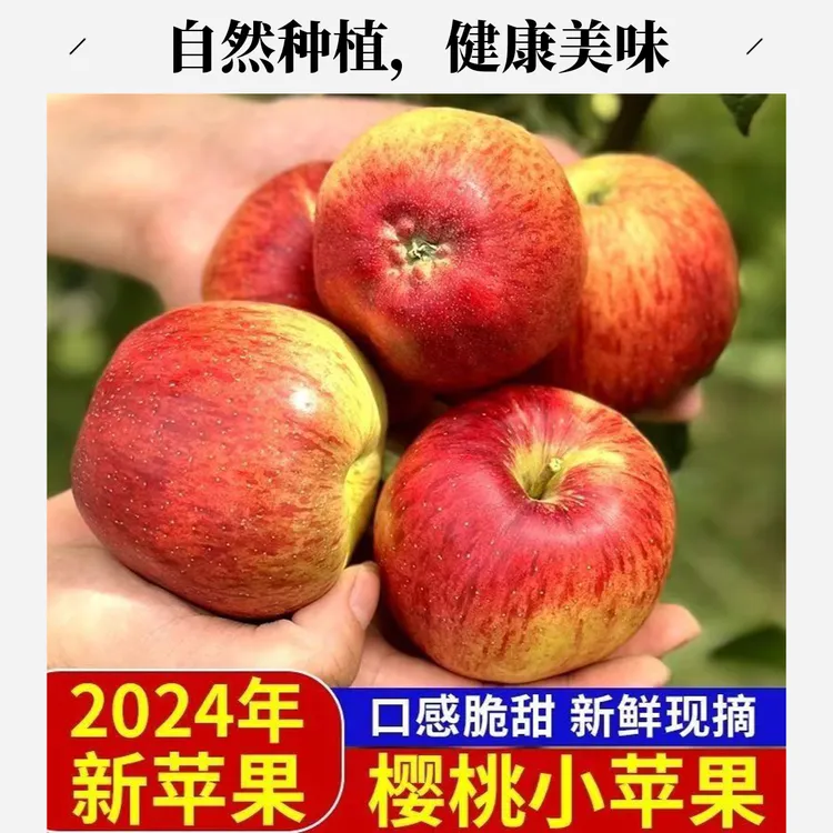 云南高山小苹果平均海拔2200米脆甜多汁果味香甜顺丰包邮到家