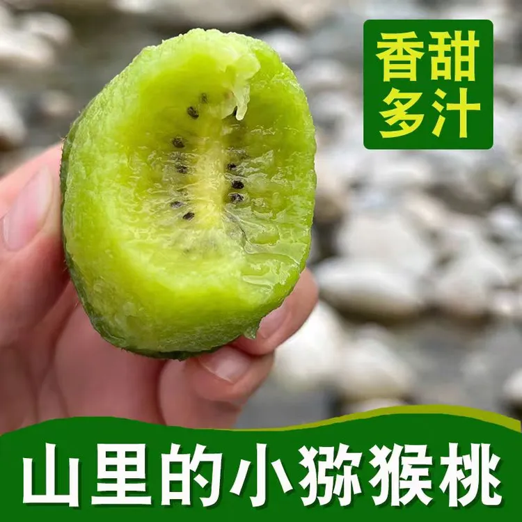 湖北恩施高山野生猕猴桃新鲜水果猕猴桃应季奇异果3斤~5斤装