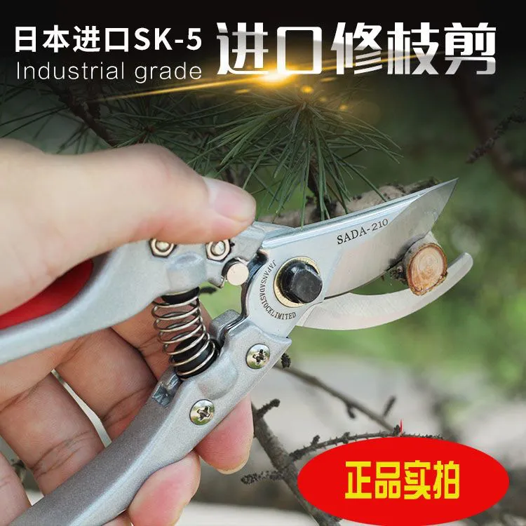 佐田修剪果树剪佐田210果树剪树枝修枝剪刀省力剪花卉嫁接剪枝
