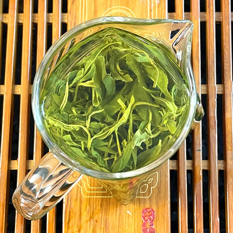口粮茶 日照绿茶2024新茶浓香型板栗香耐冲泡沙口袋装自产自销