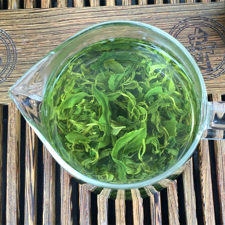 日照绿茶2025新茶叶500g秋茶袋装浓香耐泡板栗好茶半手工茶