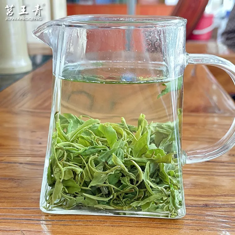 日照绿茶2025新茶叶板栗香半手工茶浓香型一斤