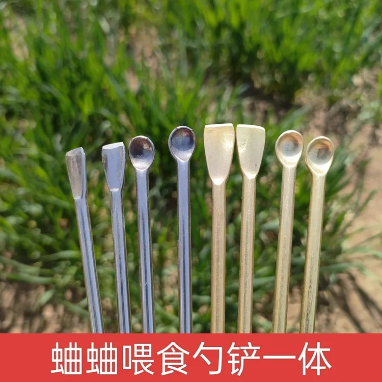 蟋蟀喂食不锈钢勺铲黄铜勺铲4毫米粗蛐蛐喂食勺铲蟋蟀用具用品