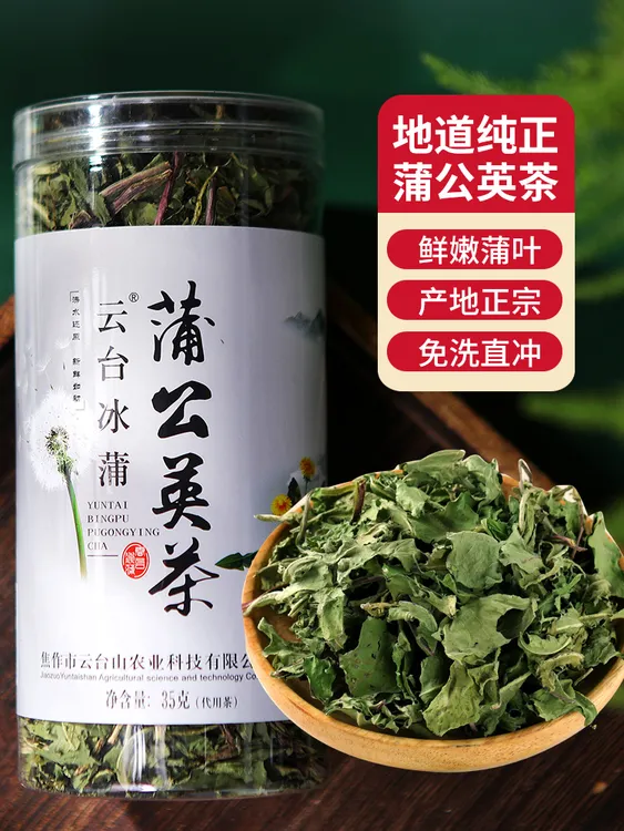云台冰蒲蒲公英茶绿色食品低温烘干自有基地培育种植干净免洗佳品