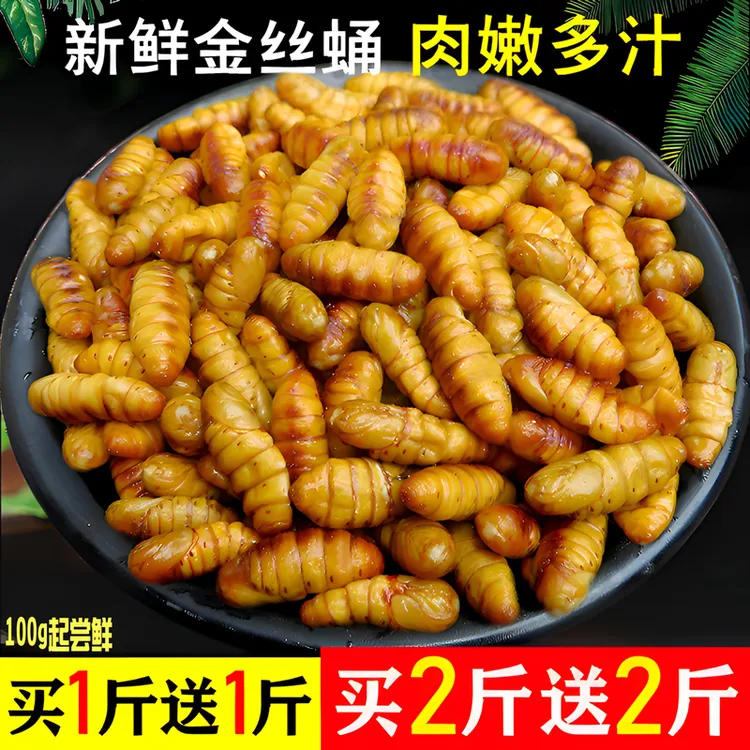 【买2斤送2斤】金丝蛹鲜活蚕蛹冷冻新鲜美味黄金蛹下酒菜高蛋白生鲜
