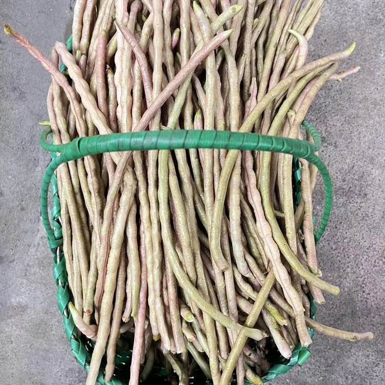 秋豆角安徽特产新鲜豆角无为当季红豆角青豆角紫豆角芜湖缸豆角