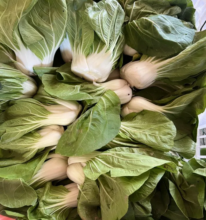 白菜新鲜现摘安徽无为特产农家自种露天霜冻蔬菜矮脚黄芜湖小青菜
