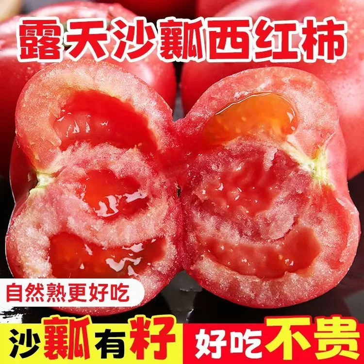 【露天现摘】新鲜西红柿番茄口感沙瓤西红柿现摘水果柿子自然熟5斤