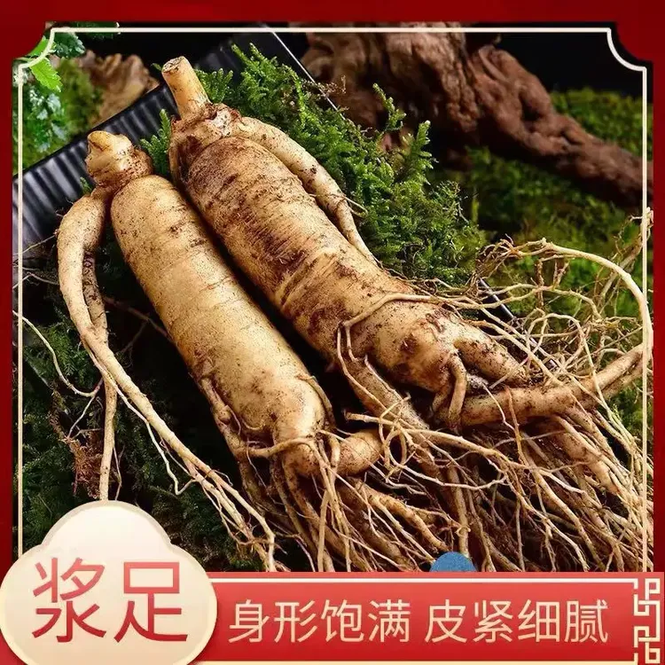 长白山新鲜人参，2支一盒，泡酒、煲汤、滋补佳品，长白山产地顺丰直发
