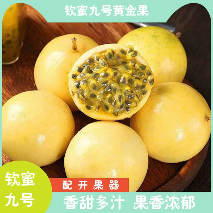 钦蜜九号纯甜黄金百香果