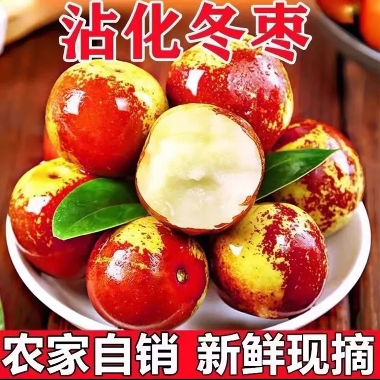 【冰糖冬枣】果园现摘沾化冬枣新鲜水果大枣当季鲜枣包脆甜非大荔