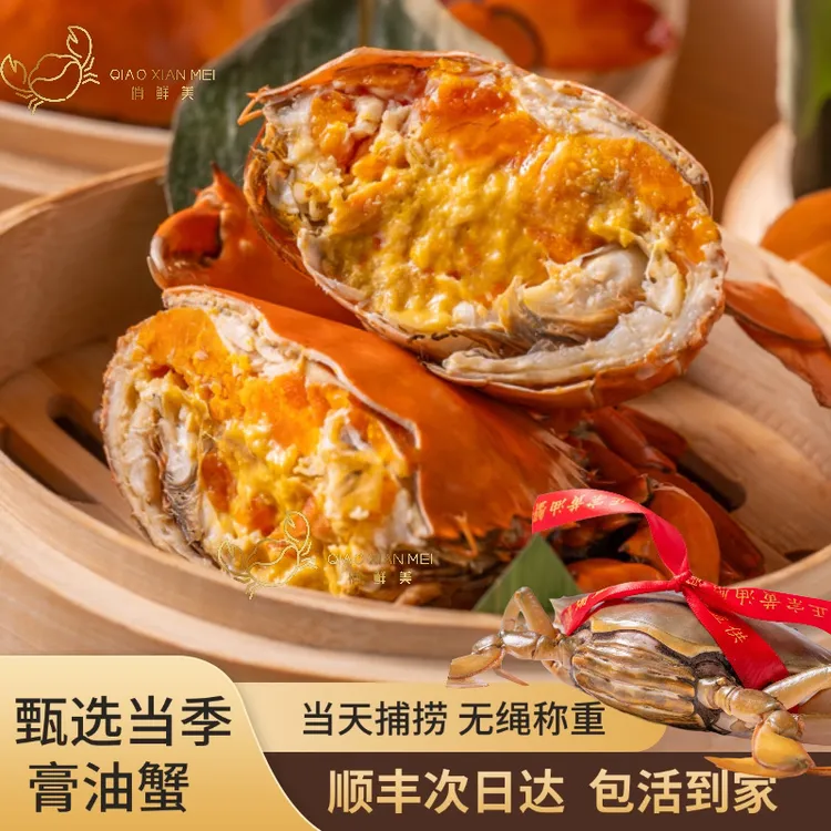 活蟹正宗青蟹膏蟹黄油蟹螃蟹肉蟹净重饱满红膏蟹海鲜鲜活水产礼盒