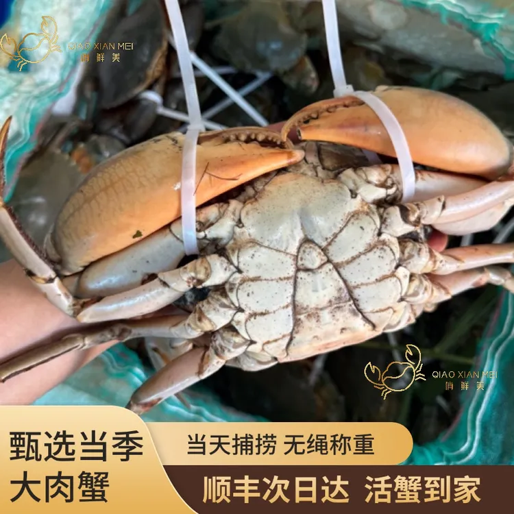 【中秋送礼】活蟹大肉蟹青蟹鲜活海鲜公蟹饱满包活包肥礼盒套装