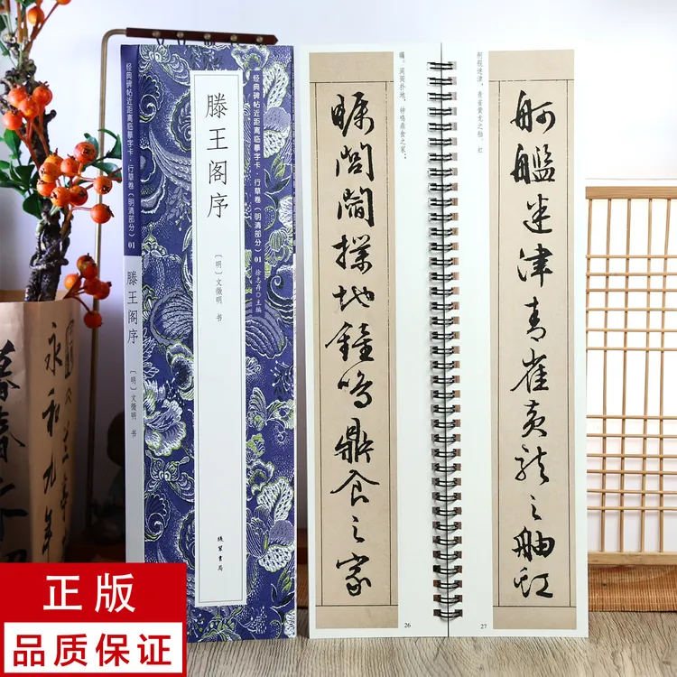 文徵明行书滕王阁序 静文轩近距离临摹字帖