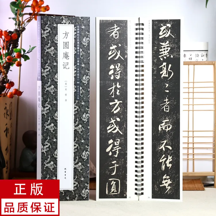 米芾行书方圆庵记 静文轩近距离临摹字帖