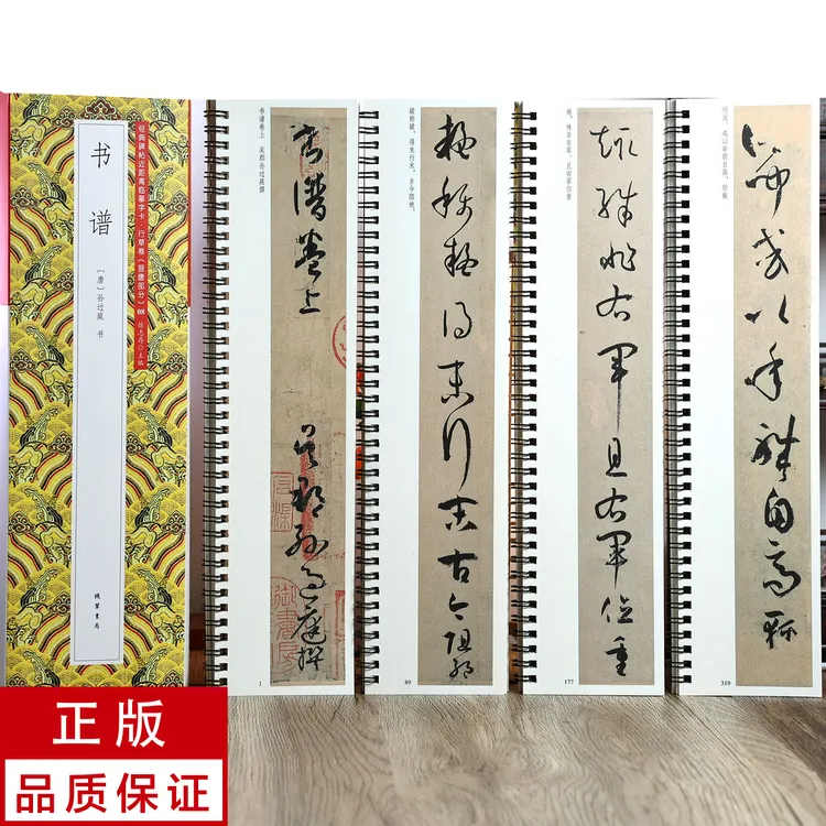 孙过庭书谱4册草书 静文轩近距离临摹字帖
