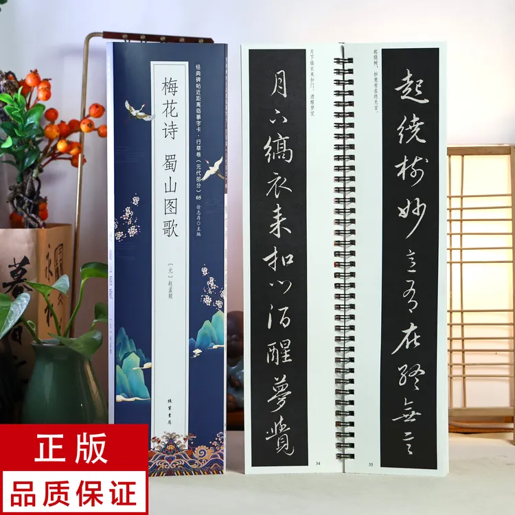 赵孟頫行书梅花诗 蜀山图歌 静文轩近距离临摹字帖