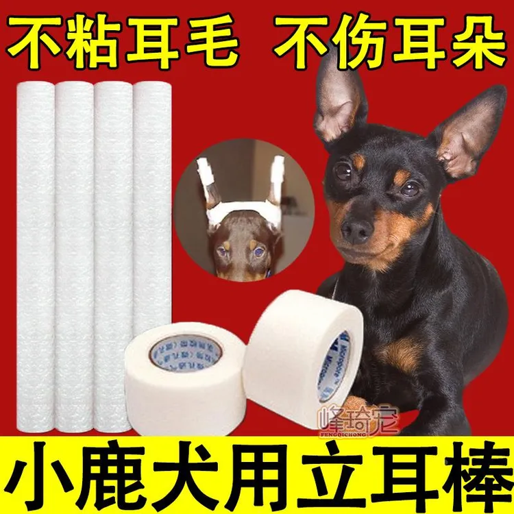 迷你杜宾小鹿犬专用立耳贴神器狗狗立耳棒辅助器绑耳朵夹子固定器