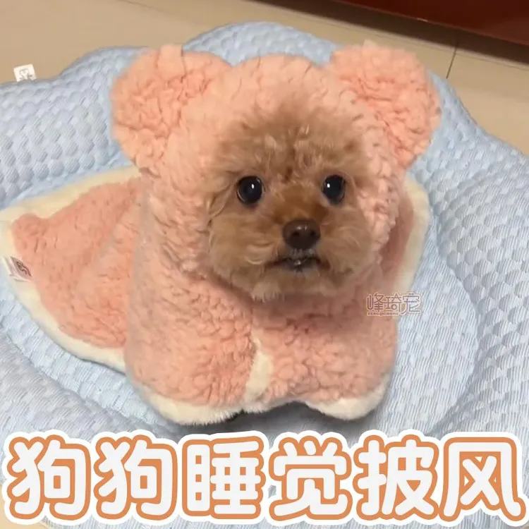 狗狗睡觉披风小狗睡衣毛毯被子比熊专用衣服泰迪冬天睡袍保暖斗篷