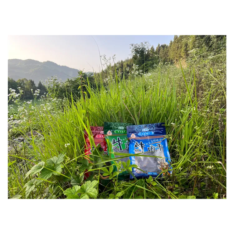 云贵高原黔北牛肉干--香辣味特产