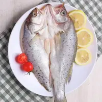 【老纪专享】新鲜开背海鲈鱼 免杀免处理日照发货 约500g-600g/条