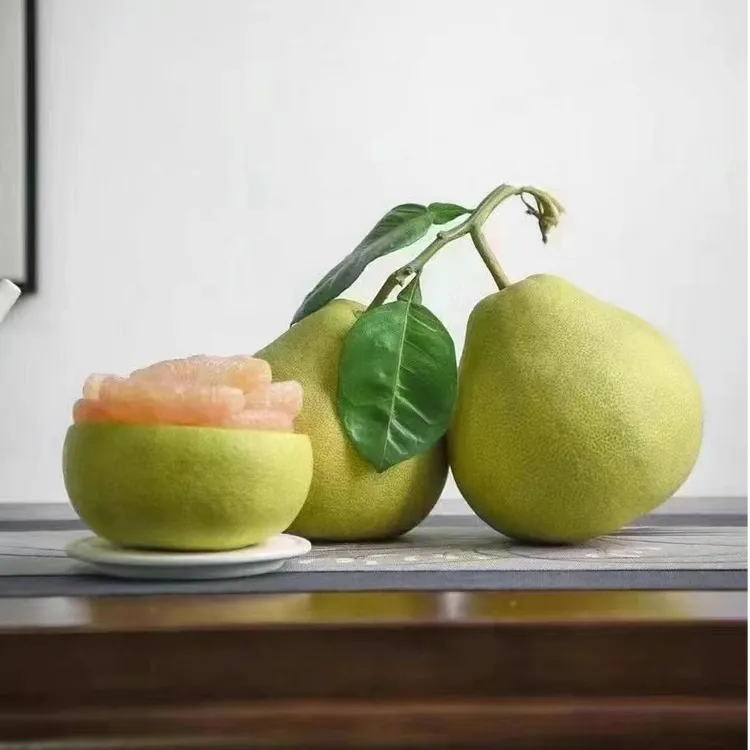 柚子正宗度尾红心文旦柚老树含维生素C新鲜应季水果鲜甜多汁