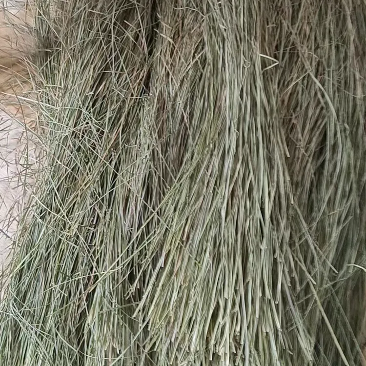 长白山靰鞡草精心梳理捶打制作