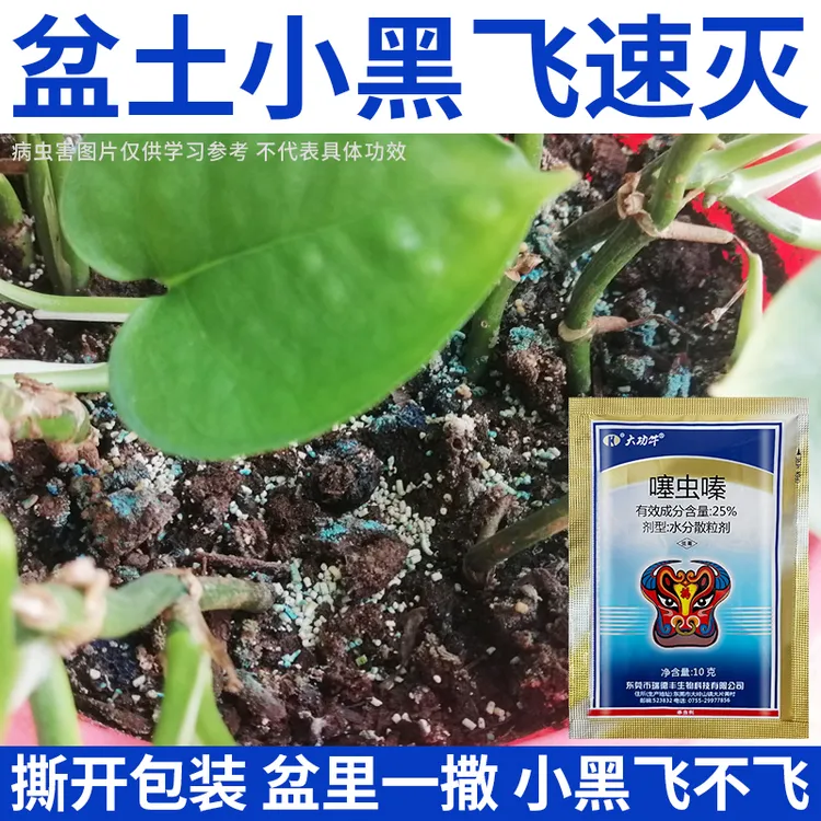 花盆里有小黑飞土壤杀虫剂防虫蓟马蚜虫红蜘蛛直接撒颗粒剂花药