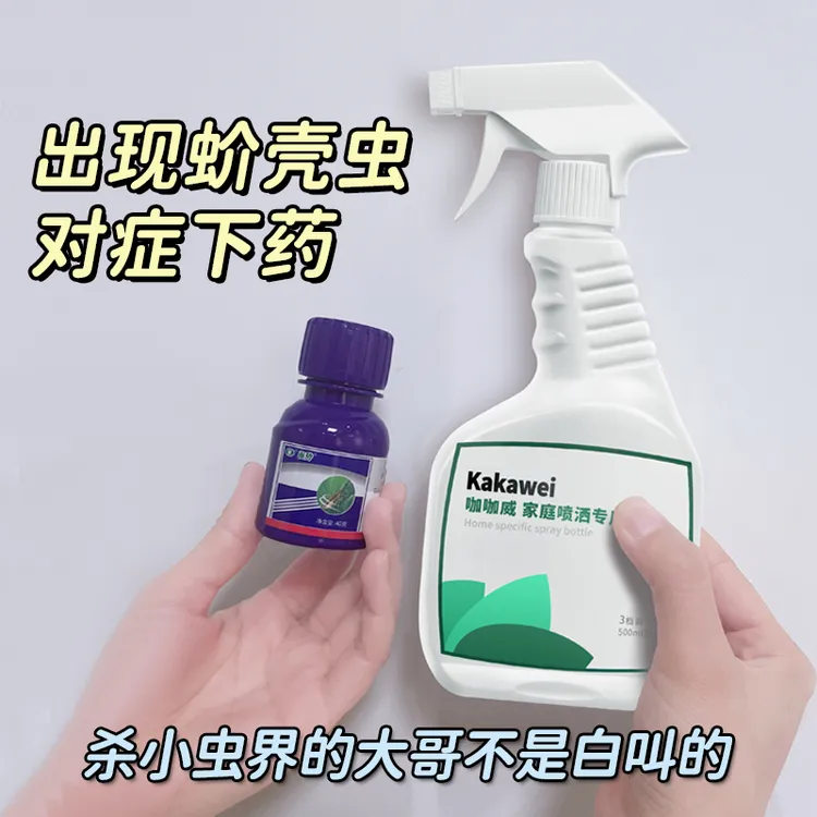 蚧壳虫杀虫剂花上有白虫小白虫散尾葵长介壳虫桂花树上有白毛