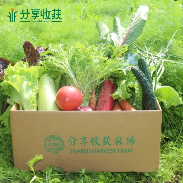 蔬菜份额 | 半年卡/整年卡 | 高品质饮食 分享收获农场生鲜