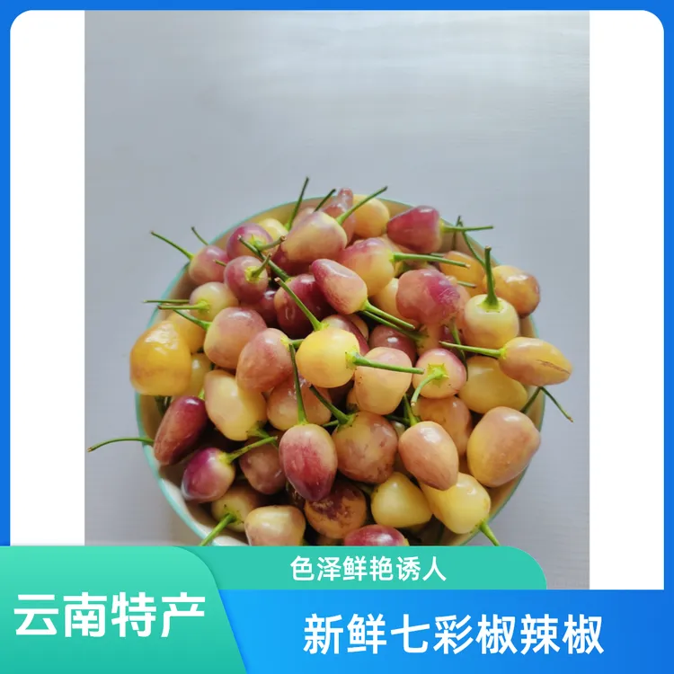 云南新鲜七彩椒辣椒五彩椒泡椒小灯笼剁椒特产蔬菜特产特辣包邮