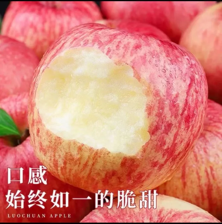 苹果脆甜可口散装